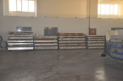 Eralsen3